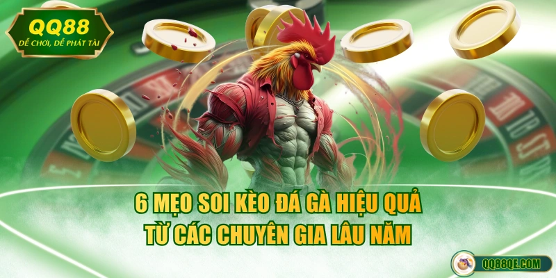 6 mẹo soi kèo đá gà hiệu quả từ các chuyên gia lâu năm