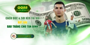 Cách Đọc & Soi Kèo Tài Xỉu Bất Bại, Bao Thắng Cho Tân Binh