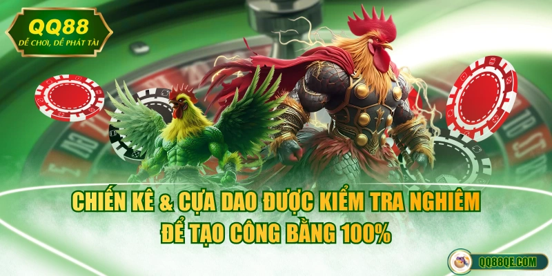 Chiến kê & cựa dao được kiểm tra nghiêm để tạo công bằng 100%