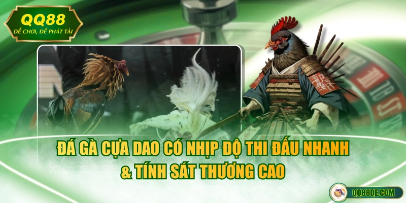 Đá gà cựa dao có nhịp độ thi đấu nhanh & tính sát thương cao