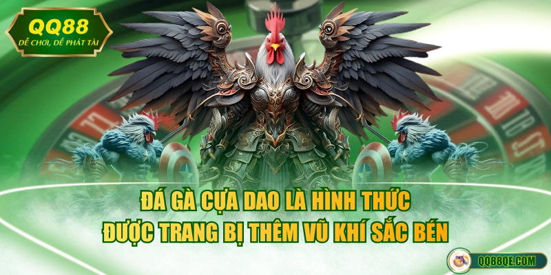 Đá gà cựa dao là hình thức được trang bị thêm vũ khí sắc bén