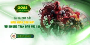 Đá Gà Cựa Sắt - Mãn Nhãn Con Mắt Với Những Trận Đấu Rực Lửa