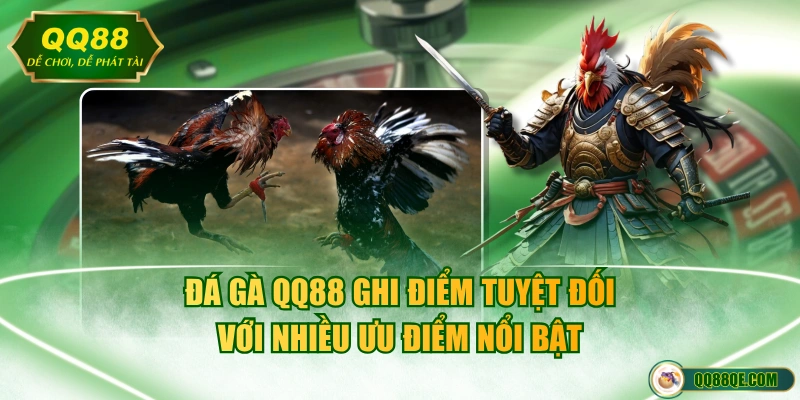 Đá gà QQ88 ghi điểm tuyệt đối với nhiều ưu điểm nổi bật