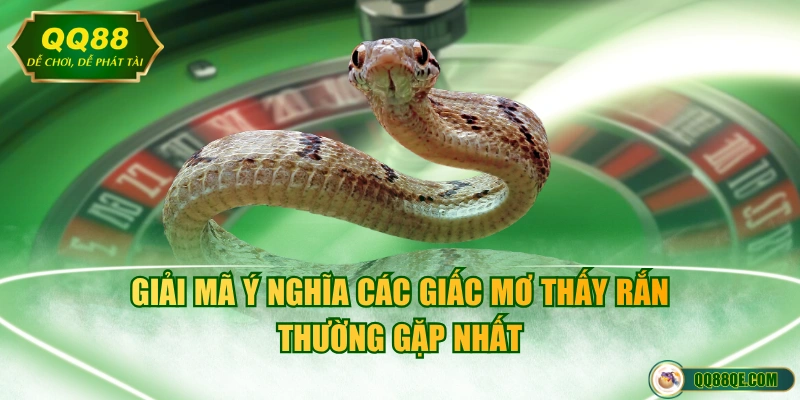 Giải mã ý nghĩa các giấc mơ thấy rắn thường gặp nhất