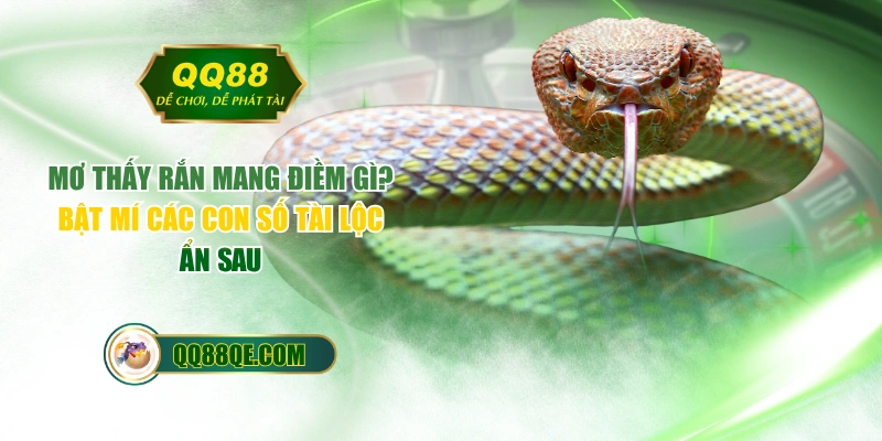 Mơ Thấy Rắn Mang Điềm Gì? Bật Mí Các Con Số Tài Lộc Ẩn Sau