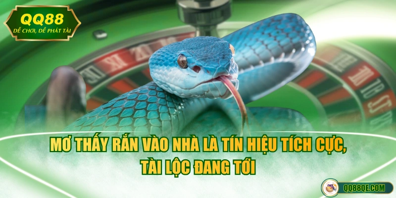 Mơ thấy rắn vào nhà là tín hiệu tích cực, tài lộc đang tới