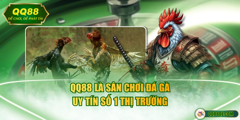 QQ88 là sân chơi đá gà uy tín số 1 thị trường