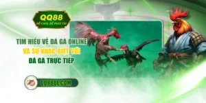 Tìm Hiểu Về Đá Gà Online Và Sự Khác Biệt Với Đá Gà Trực Tiếp